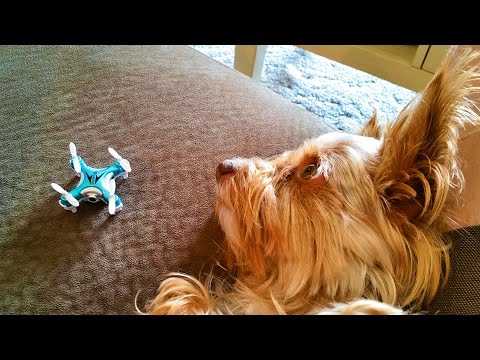 Eachine E10W WiFi Micro FPV Drone Review - TheRcSaylors - UCYWhRC3xtD_acDIZdr53huA