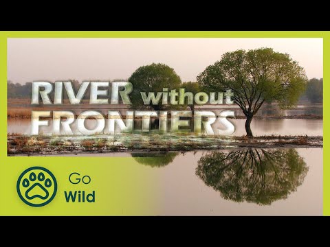 River Without Frontiers - The Secrets of Nature - UCVGTgXC1P--xM480Z6DqyAg