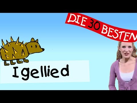 Igellied  - Anleitung zum Bewegen || Kinderlieder