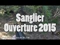 Sanglier, ouverture 2015
