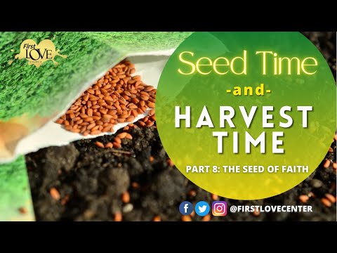 Seed Time And Harvest Time - Part 8: Seed Of Faith  Dag Heward-Mills