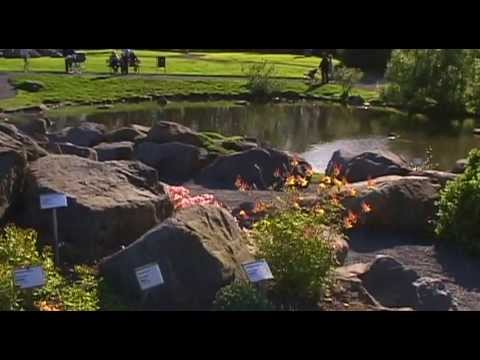 Volcanic Iceland Vacation Travel Video Guide - UC3o_gaqvLoPSRVMc2GmkDrg