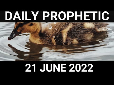 Daily Prophetic Word 21 June 2022 4 of 4
