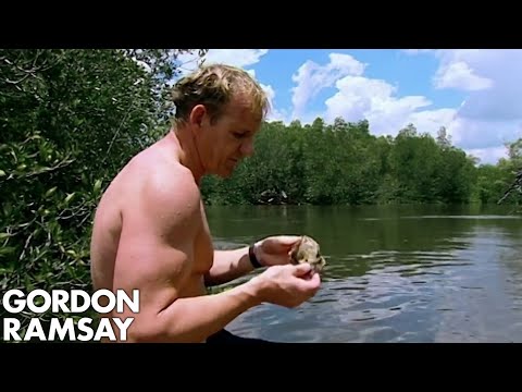 Gordon Ramsay Goes Oyster Fishing In Thailand | Gordon's Great Escape - UCIEv3lZ_tNXHzL3ox-_uUGQ