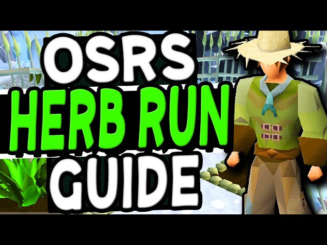 Most Efficient OSRS Herb Running Guide