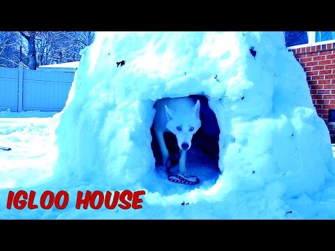 How to Make Igloo House - UCkDbLiXbx6CIRZuyW9sZK1g