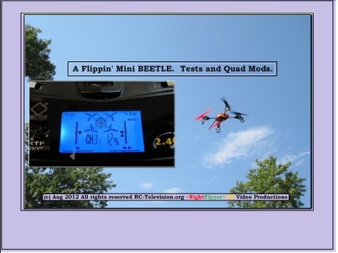 A "Flippin" Beetle. WLtoys V929 with Mod. - UCvPYY0HFGNha0BEY9up4xXw
