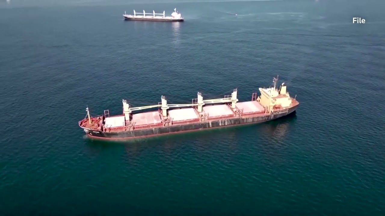 Zelenskiy: 60 grain vessels to depart from Ukraine