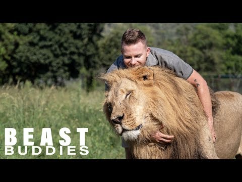 Lion King: 23-Year-Old Is Best Friends With Big Cats | BEAST BUDDIES - UC9LxuffQCm_Z4KBCoXZvSHA
