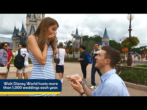 Top 5 Walt Disney World Special Moments - UCGaOvAFinZ7BCN_FDmw74fQ