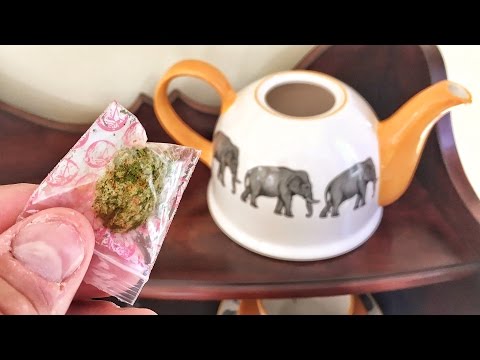 WEED IN THE COFFEE POT!! - UCtinbF-Q-fVthA0qrFQTgXQ