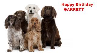Garrett - Dogs Perros - Happy Birthday