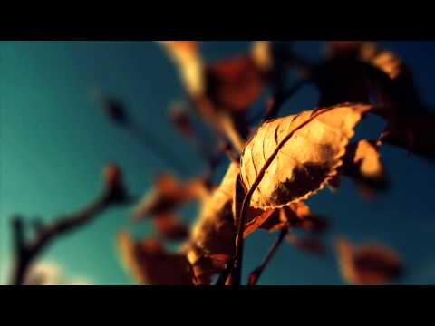 [Vocal Chillstep/Dubstep] Madza - Never Be Alone (Free Download) - UCd24KR51l3JzGZh7GoW0OEg