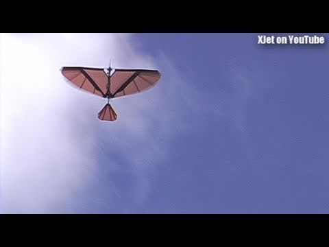 Things that should not fly #6  The RC ornithopter - UCQ2sg7vS7JkxKwtZuFZzn-g