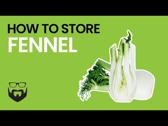 How to Preserve Fennel for Long-Term Storage