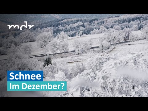 Weiße Weihnacht in Mitteldeutschland? | MDR um Zwei | MDR