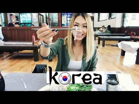 Travel Vlog: Seoul, South Korea | HAUSOFCOLOR - UC8r4IMuZp43ZxvHUZ54LdXw