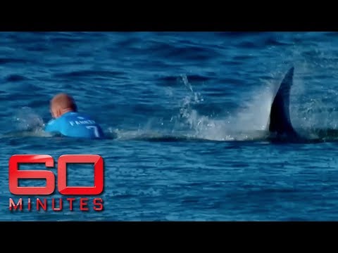 Mick Fanning opens up about shark attack | 60 Minutes Australia - UC0L1suV8pVgO4pCAIBNGx5w