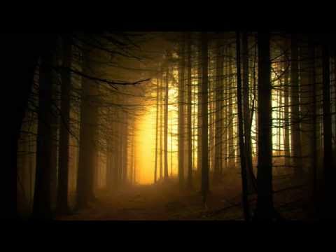 'The Path' Deep Future Garage Mix 2014 (►Mix #34◄) - UCd24KR51l3JzGZh7GoW0OEg