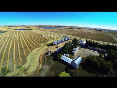 Harvest 2013 Bruno Saskatchewan Canada GoPro Hero 3 FPV Aerial Video - UCfsGh13modKt72bac7BZwMg