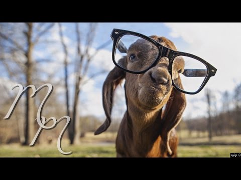 K-391 - The Goat Song [1 HOUR VERSION] - UCQ2ZXzSHkQOznthN-DepInQ
