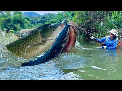 Traditional fishing skills - Single mother catches giant fish using family heirloom fishing net.