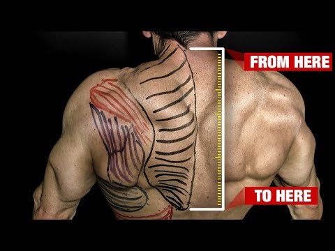 How to Get Bigger Traps (GUARANTEED!!) - UCe0TLA0EsQbE-MjuHXevj2A