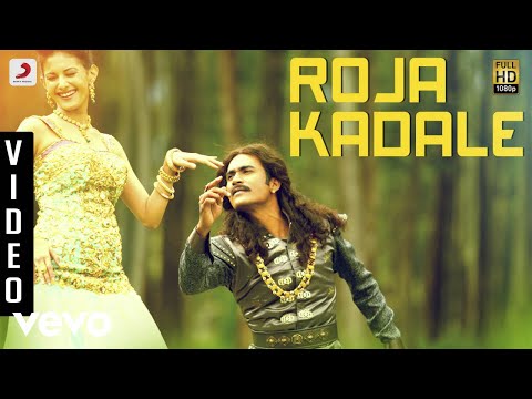 Anegan - Roja Kadale Video | Dhanush | Harris Jayaraj - UCTNtRdBAiZtHP9w7JinzfUg