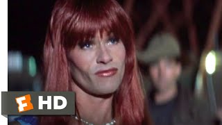 The Adventures of Priscilla, Queen of the Desert (1994) - Now You're F***ed Scene (6/8) | Movieclips