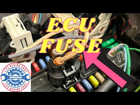Dove si trova il fusibile delle ECU della Citroen C3?