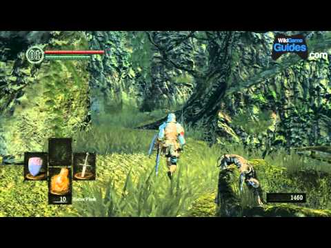 Dark Souls Walkthrough - The Basics of Melee Combat | WikiGameGuides - UCCiKcMwWJUSIS_WVpycqOPg