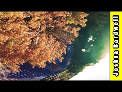 Atlanta Autumn Tree Parking Lot FPV Freestyle - UCX3eufnI7A2I7IkKHZn8KSQ