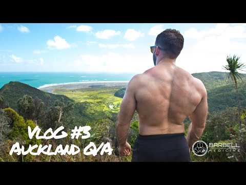 Should YOU do cardio or GAIN weight + more from New Zealand's Q/A.