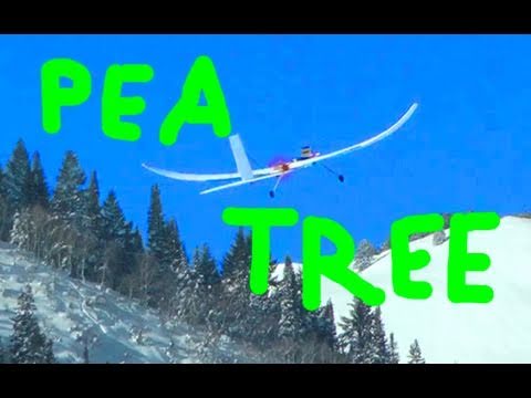Pea Tree V2 1st Flight - UCq2rNse2XX4Rjzmldv9GqrQ