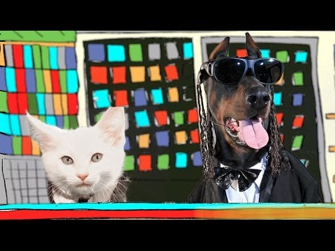 PSY - HANGOVER feat. Snoop Dogg (with kittens and dogs) - UCPIvT-zcQl2H0vabdXJGcpg