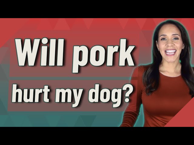 can-dogs-eat-ground-pork-hayfarmguy