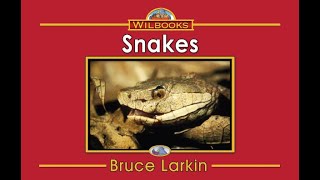 Snakes 