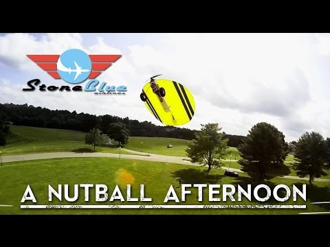 A Nut Ball Afternoon - UC0H-9wURcnrrjrlHfp5jQYA