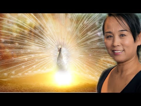 Xiao's New Recipes 4 Autumn 2018 | Xiao's Kitchen