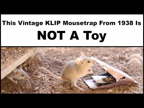 The Vintage KLIP Mousetrap From 1938 Is Not A Toy. Mousetrap Monday - UCYbru-MPO1xjes4FVn61JUQ