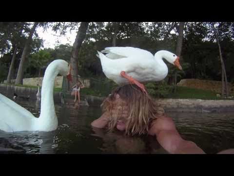 Wild Geese Attack Mitch - GoPro hero HD - UCTs-d2DgyuJVRICivxe2Ktg