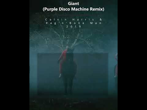 Calvin Harris & Rag’n’Bone Man - Giant (Purple Disco Machine Remix)