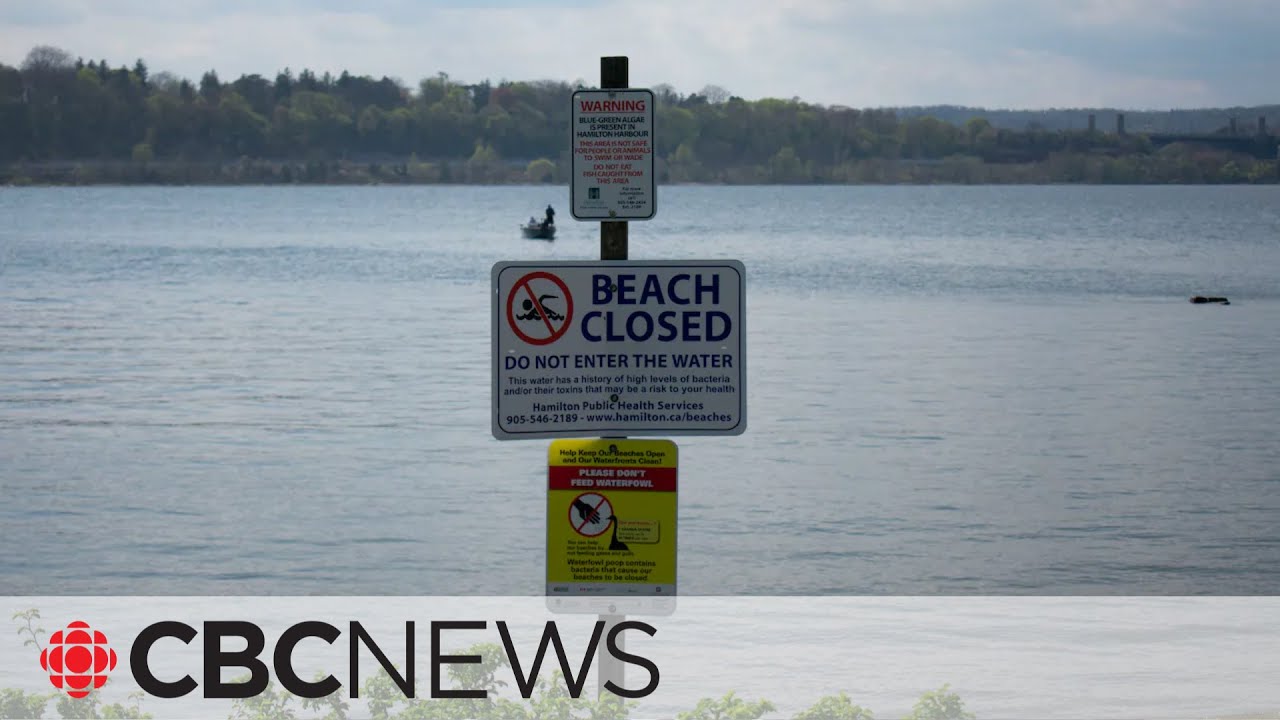 More than 330 million litres of sewage leaked unnoticed into Hamilton harbour since 1996: city