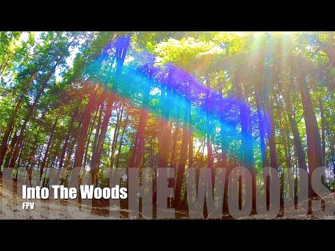 Into the Woods : FPV - UC2c9N7iDxa-4D-b9T7avd7g