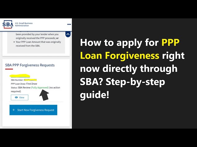 How to Cancel Your Blue Acorn PPP Loan Application