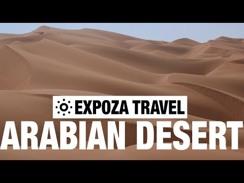 Arabian Desert Safari Vacation Travel Video Guide - UC3o_gaqvLoPSRVMc2GmkDrg