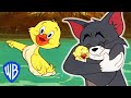 Tom & Jerry  Best of Little Quacker  Classic Cartoon Compilation  WB Kids