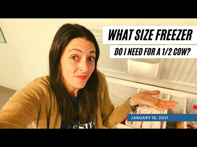 What Size Chest Freezer Do You Need StuffSure