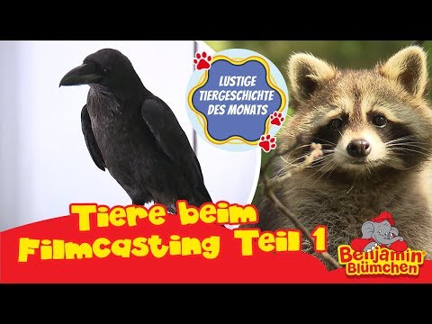 Benjamin Blümchen - lustigste Tiergeschichte des Monats | Tiere beim Casting