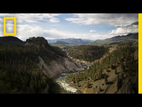 The Best of Yellowstone | America's National Parks - UCpVm7bg6pXKo1Pr6k5kxG9A